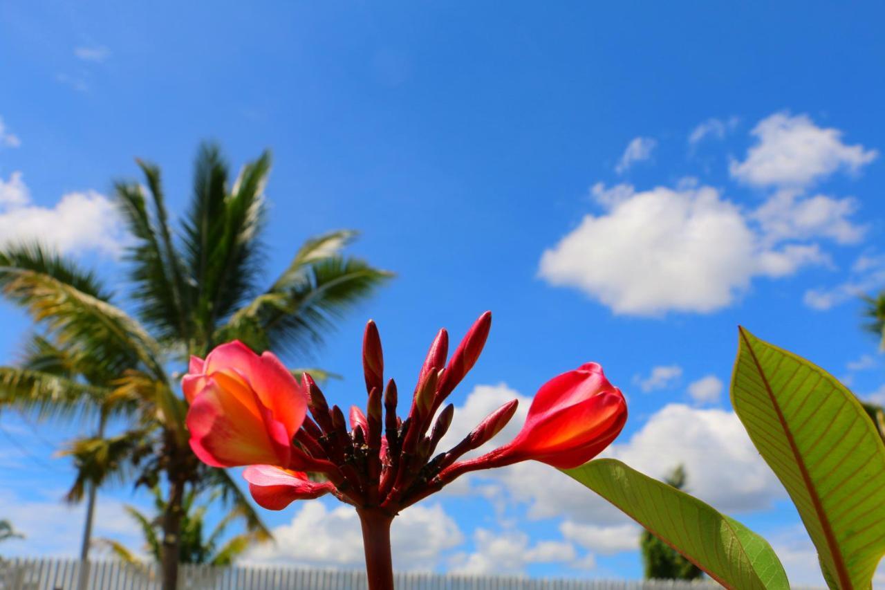 Nadi Fancy Hotel Luaran gambar